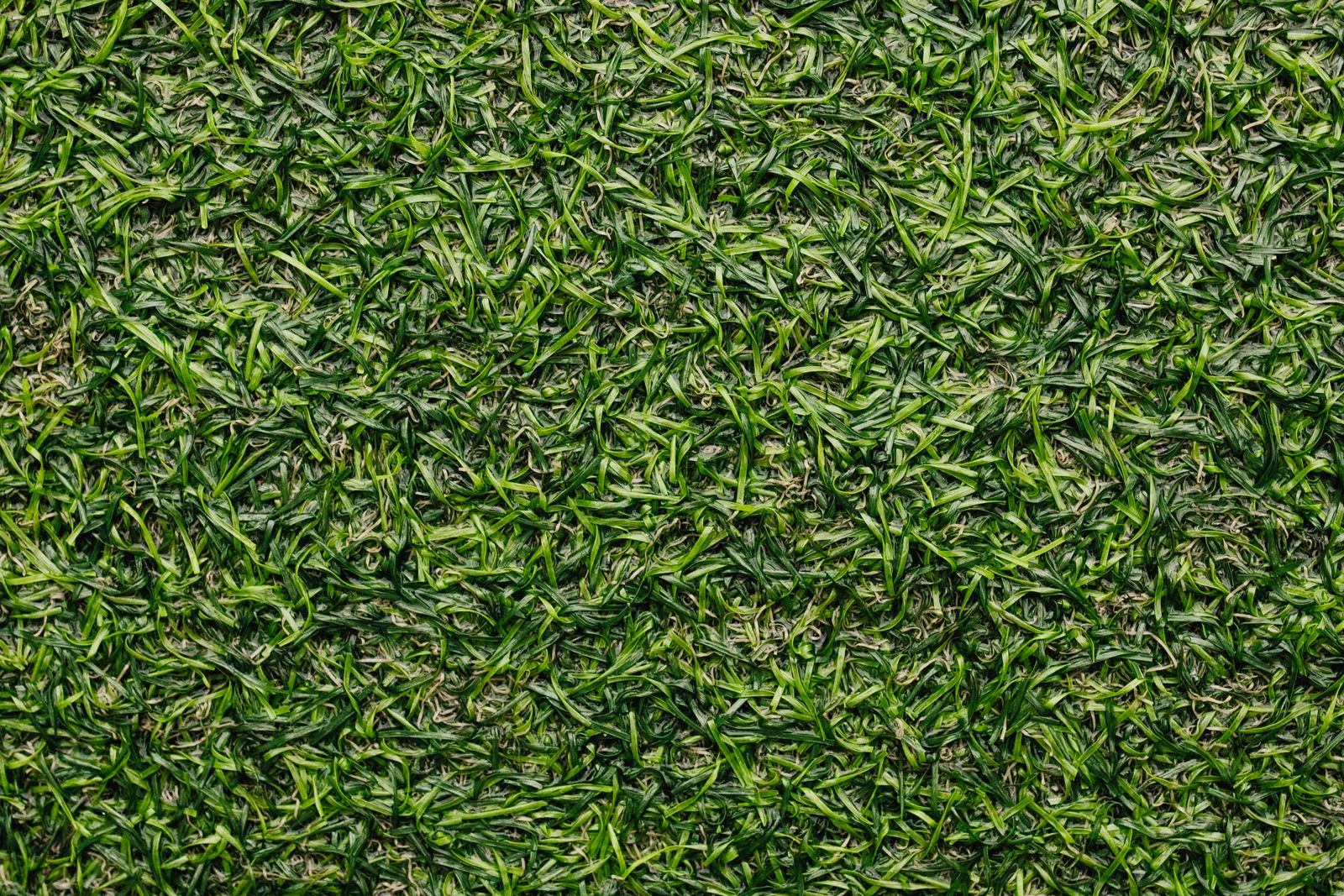 Close-up of green turf surface texture